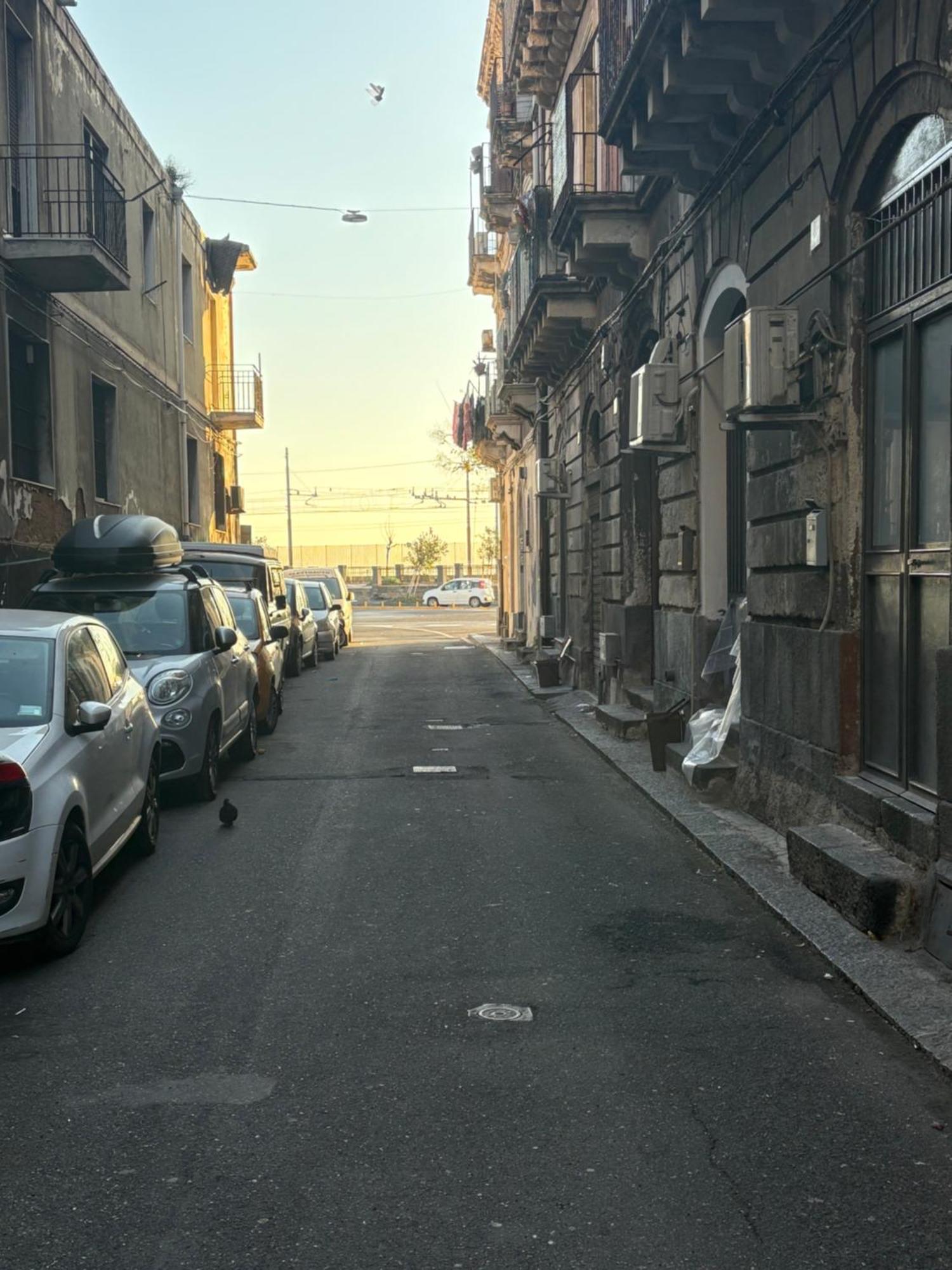 Da Marieddu Appartamento Indipendente In Centro Citta 卡塔尼亚 外观 照片